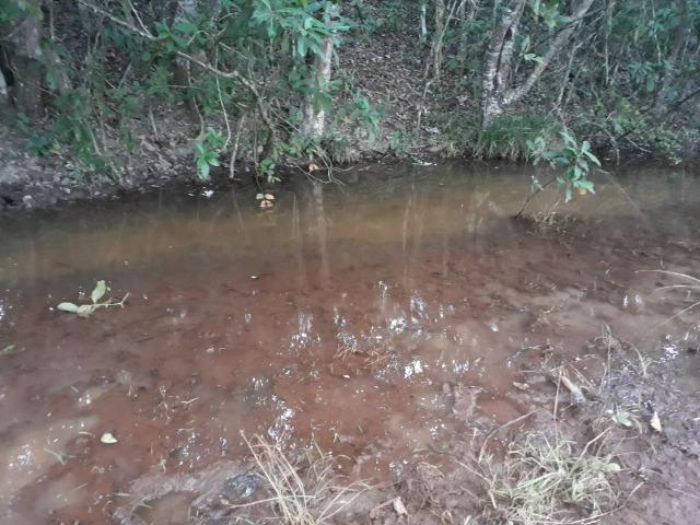 Chácara de terra boa a 9 km de Acorizal - Foto 9