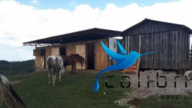 Sítio de porteira fechada em agudos do sul - pr - Foto 7