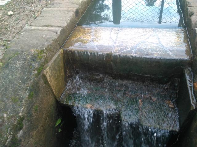 Chácara simples,mas aconchegante,lago na propriedade - Foto 11