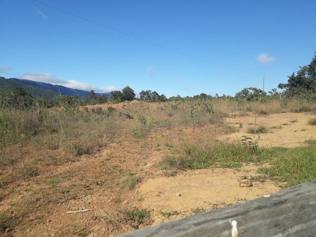Fazenda com 784 hectares em Rosário Oeste MT - Foto 11
