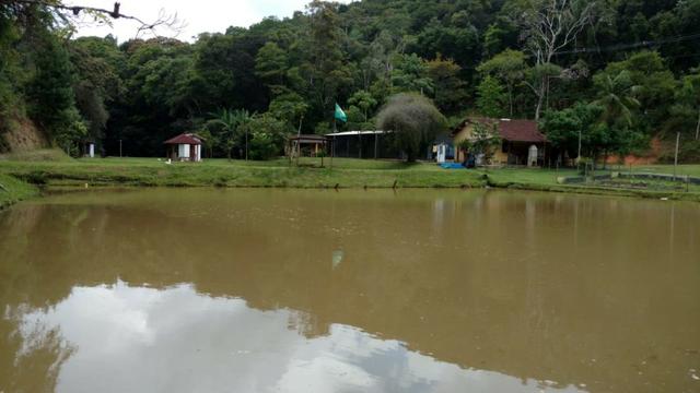 Sítio com 20.000 m²,casa rustica,3 belos na propriedade - Foto 8