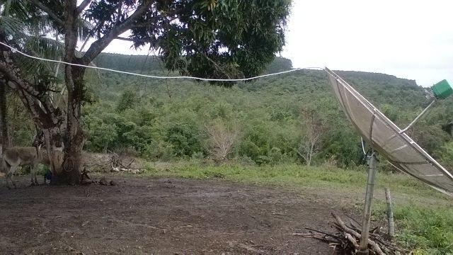 Vendo fazenda em Araçás ba - Foto 6