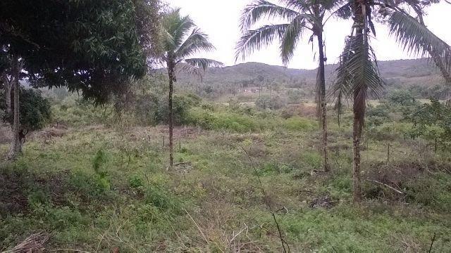 Vendo fazenda em Araçás ba - Foto 7