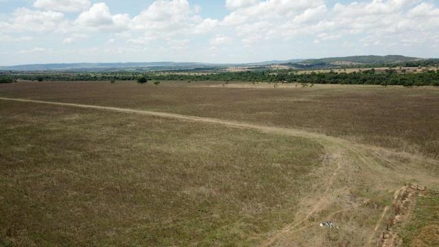 Fazenda Extra em Hidrolândia-GO. 40 km Goiânia - Foto 8