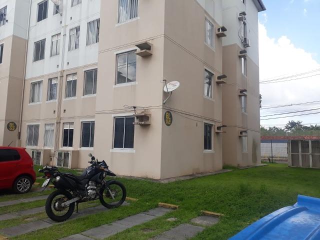 Ideal samambaia No térreo e 4 andar, não peço caução !