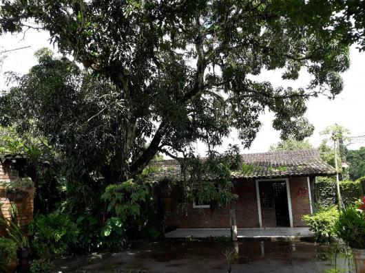 Casa à venda com 2 dormitórios em Aldeia, Camaragibe cod:ALD001 - Foto 5