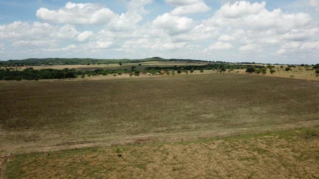 Fazenda Extra em Hidrolândia-GO. 40 km Goiânia - Foto 6