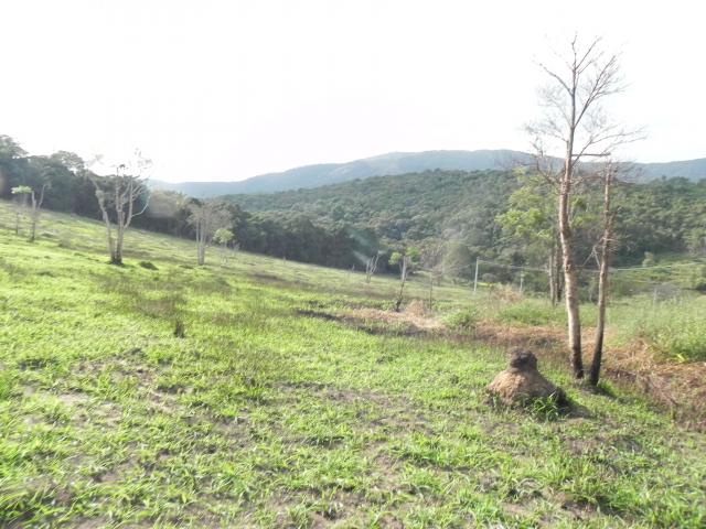 Agt-Lindos terrenos na promoção em Mairiporã,direto com dono. - Foto 5
