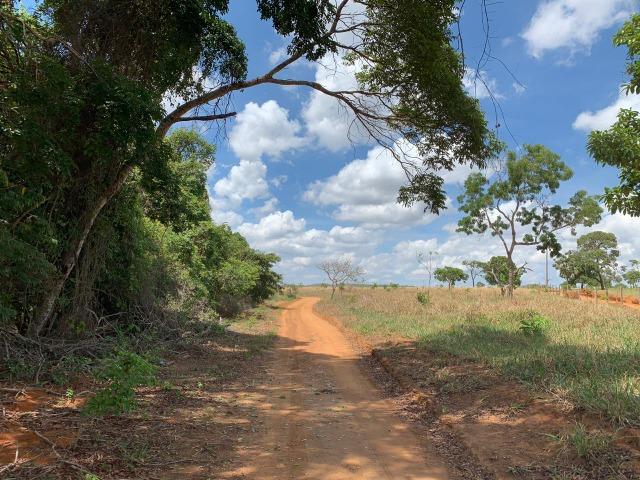 Fazenda Extra em Hidrolândia-GO. 40 km Goiânia - Foto 19