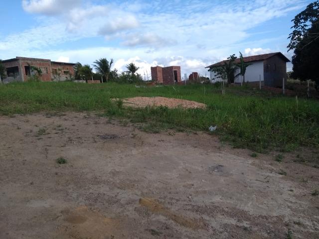 Lindo terreno na colina - Foto 4
