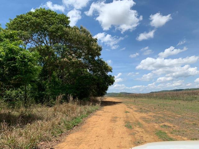 Fazenda Extra em Hidrolândia-GO. 40 km Goiânia - Foto 16
