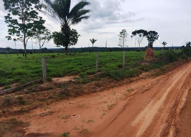 Fazenda 2.904 ha Nova Monte Verde MT - Foto 14
