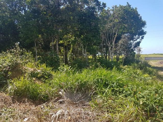 Lote de 1.000 m², com vista mar, no Outeiro de São Francisco, Porto Seguro - BA - Foto 3