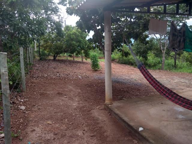 Particular/Rancho/Serra da Mesa - Foto 3