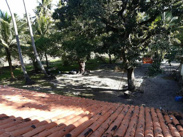 Ótimo sítio na Massagueira de Cima - 15.000 metros - Foto 4