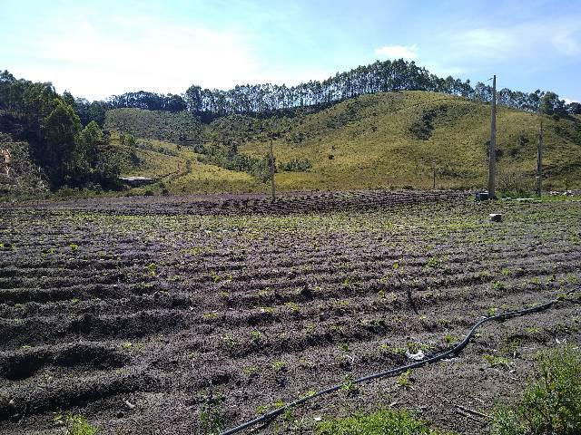 Sitio minis freire 4 alqueires - Foto 19