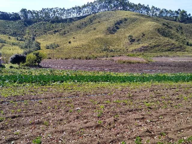 Sitio minis freire 4 alqueires - Foto 13
