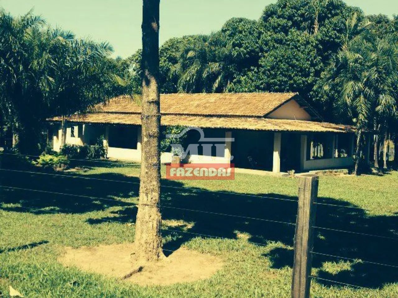 Fazenda Beira Tocantins 1.000 Alq. (4.840 Há). p/ Soja - Foto 3