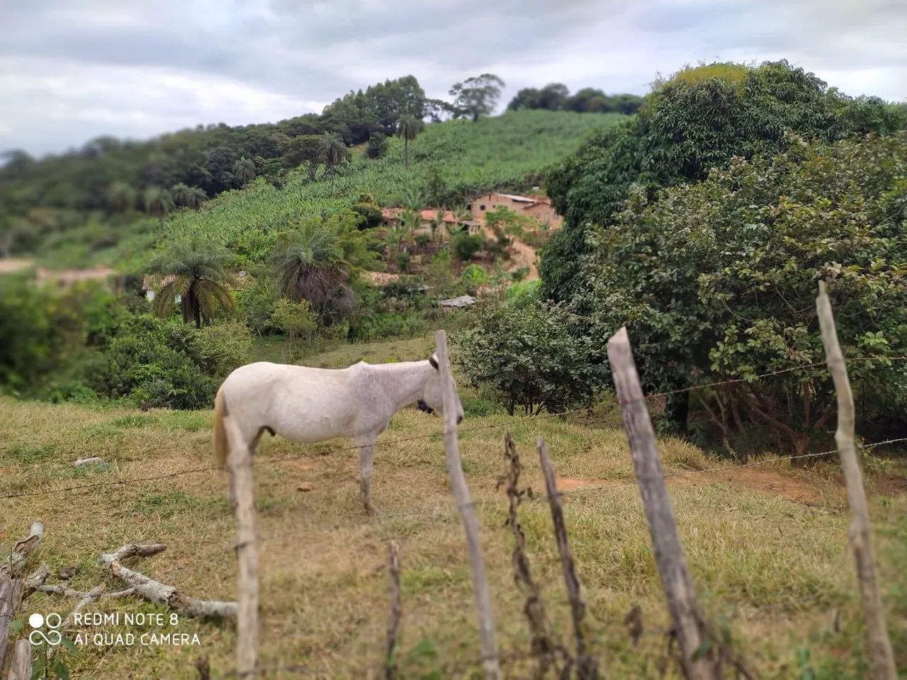 foto - Nova União - 