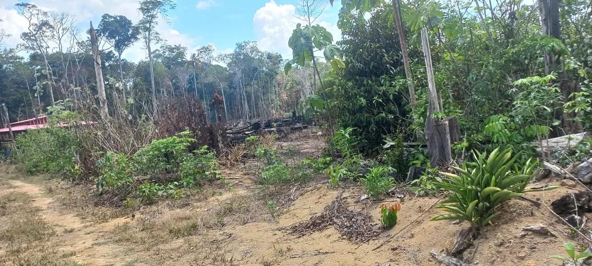 foto - Manaus - Cidade de Deus