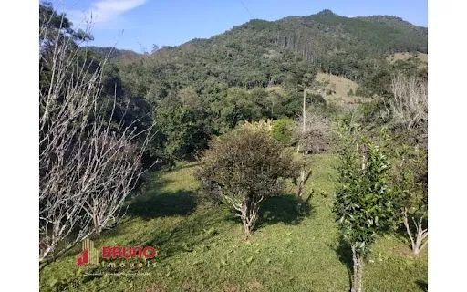Sitio, bairro Betânia, Angelina - SC - Foto 4