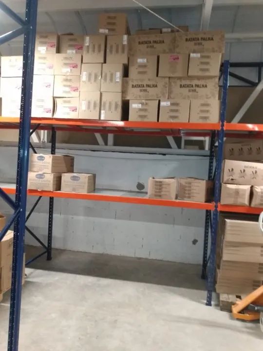 Mini Porta Pallets Usados - Foto 6