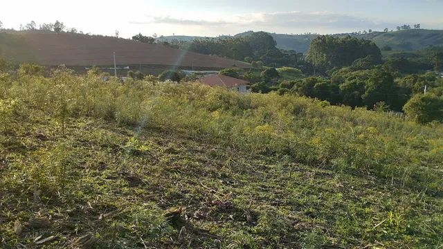 Exelente terreno .3.500m² - Foto 5