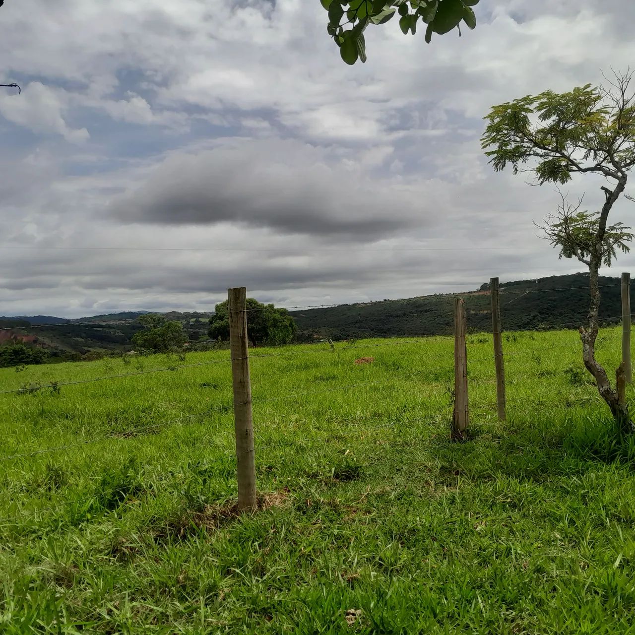 Terreno rural em itatiaucu  - Foto 4