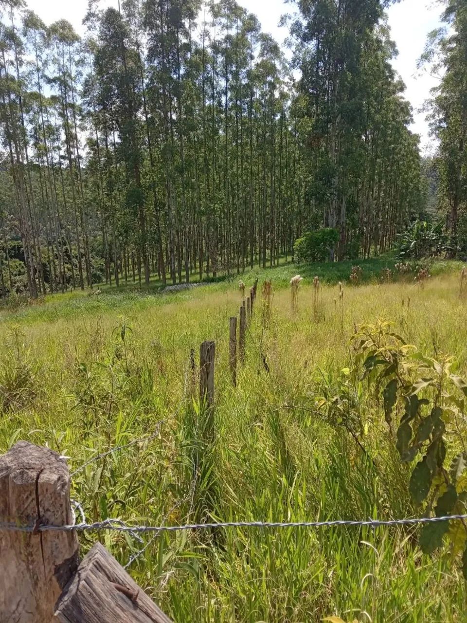 Foto - Araçoiaba da Serra - 