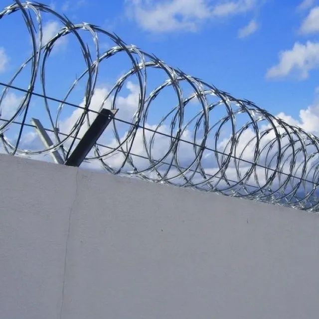 Concertina Perimetral - Foto 3