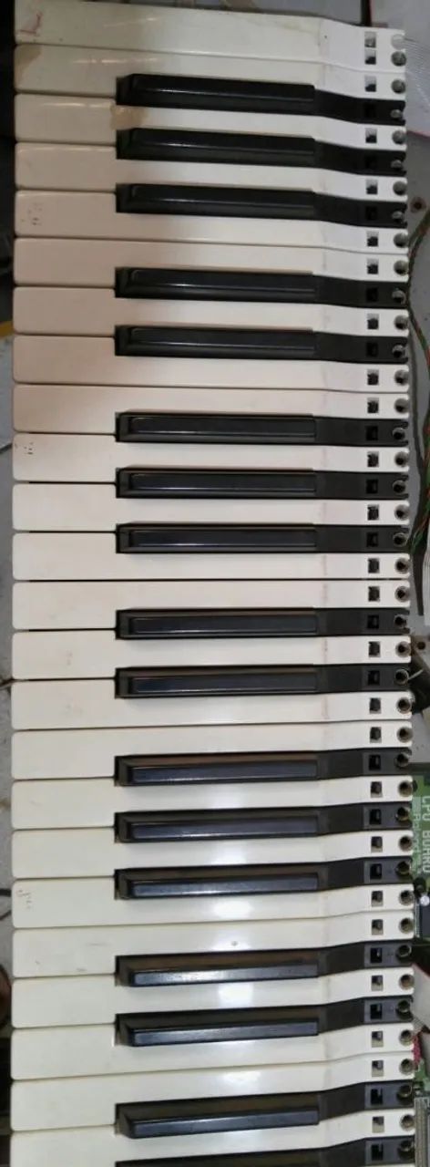 Teclas do Roland G-800 - Foto 2