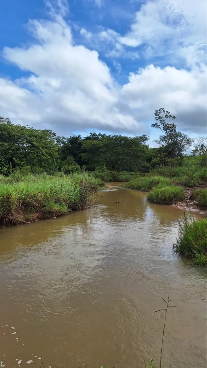Vendo Sítio 10 Alqueires 4 km De Alvorada Do Oeste!