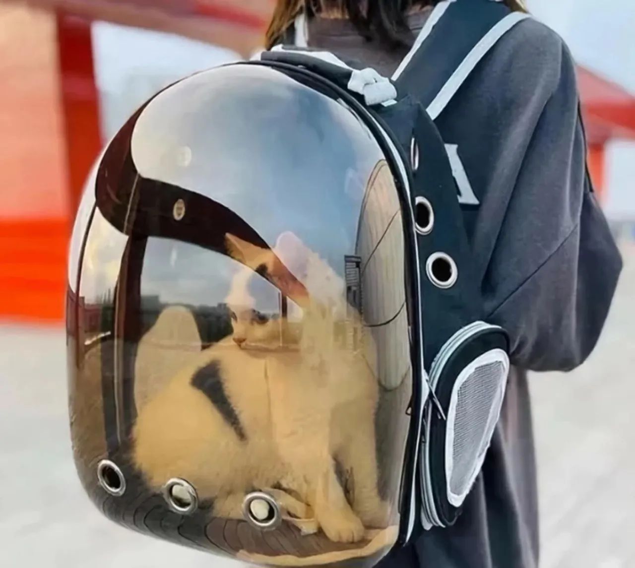 Mochila de Transporte para Pet Transparente - Foto 4