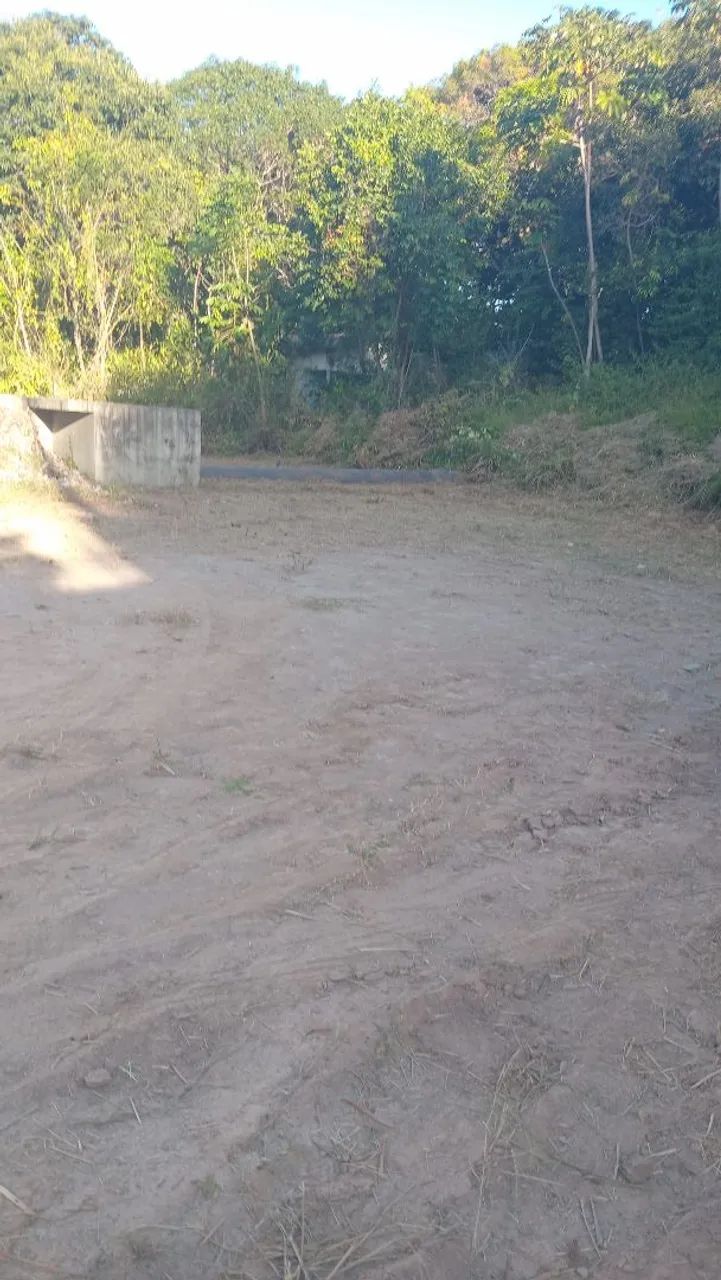 Limpezas de terrenos   - Foto 2