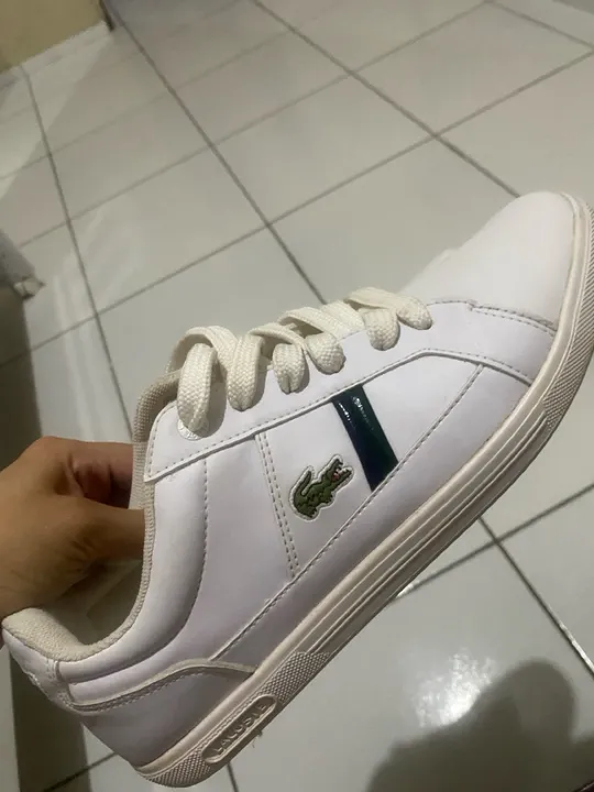 Sapato Lacoste original 