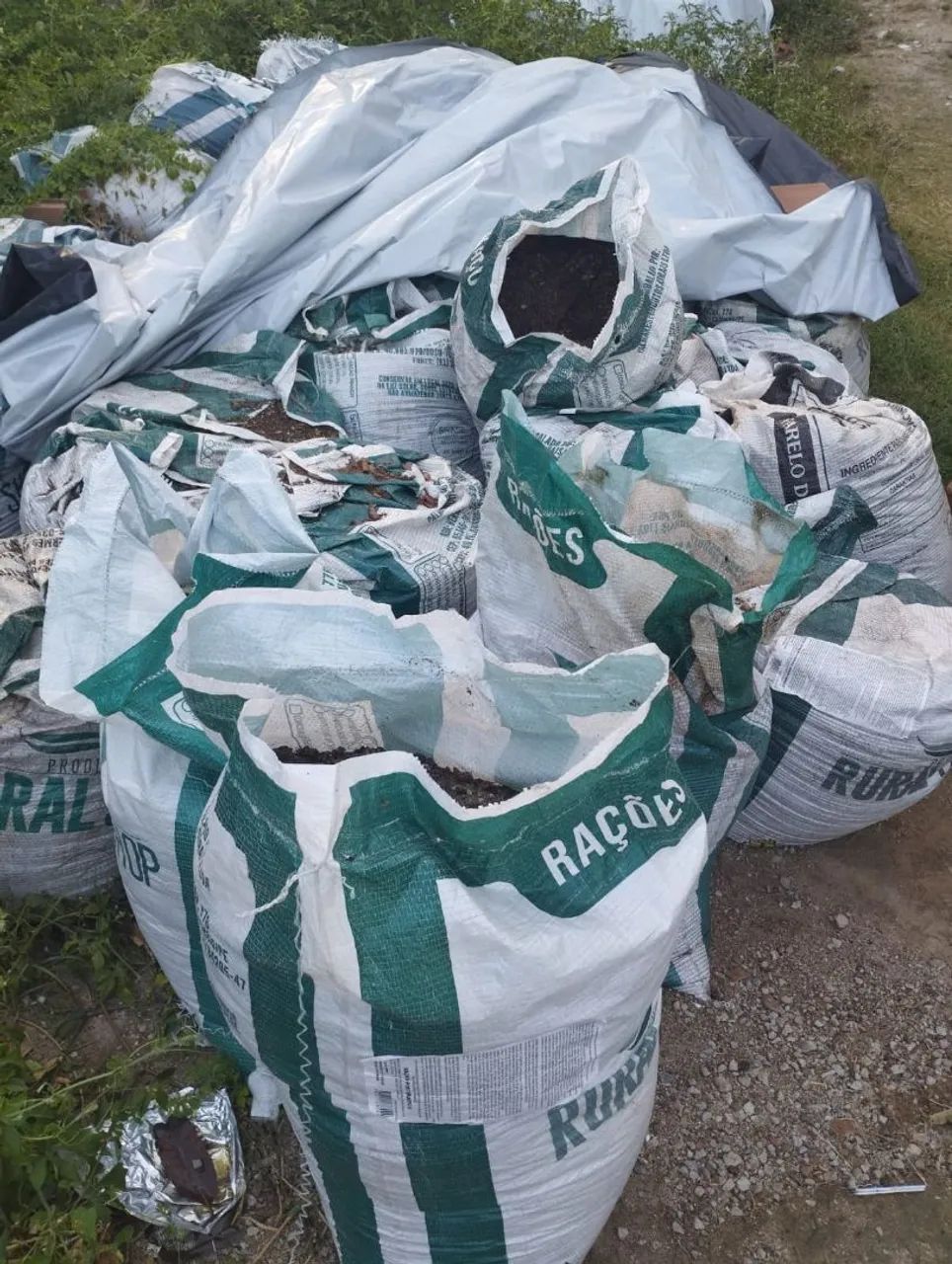 Adubo de codornas e galinha  - Foto 4