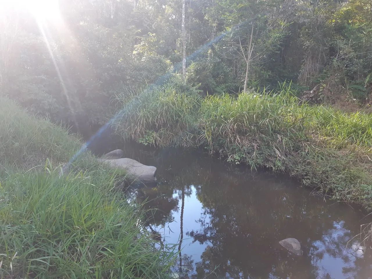 Vendo uma fazenda em Una ( oportunidade)