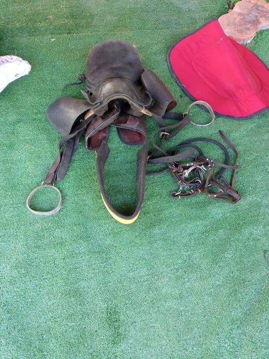 Conjunto de Sela e Freio - Foto 4