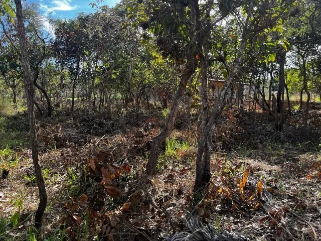 Lote em Condominio Fechado - Foto 4