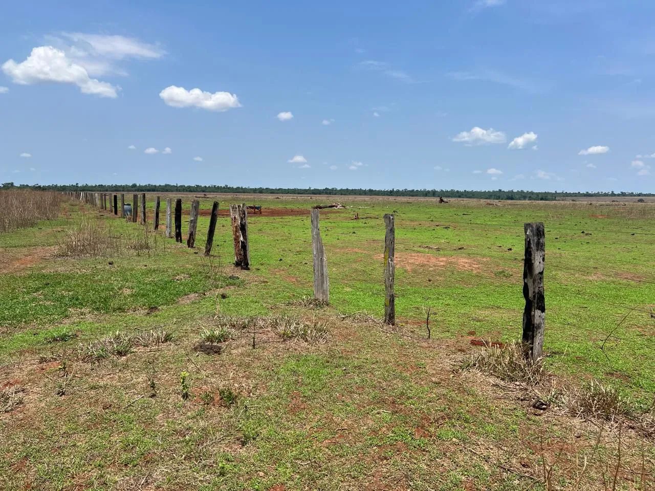Fazenda arrendamento 925hec em pasto, na região dos baianos MT.  - Foto 6