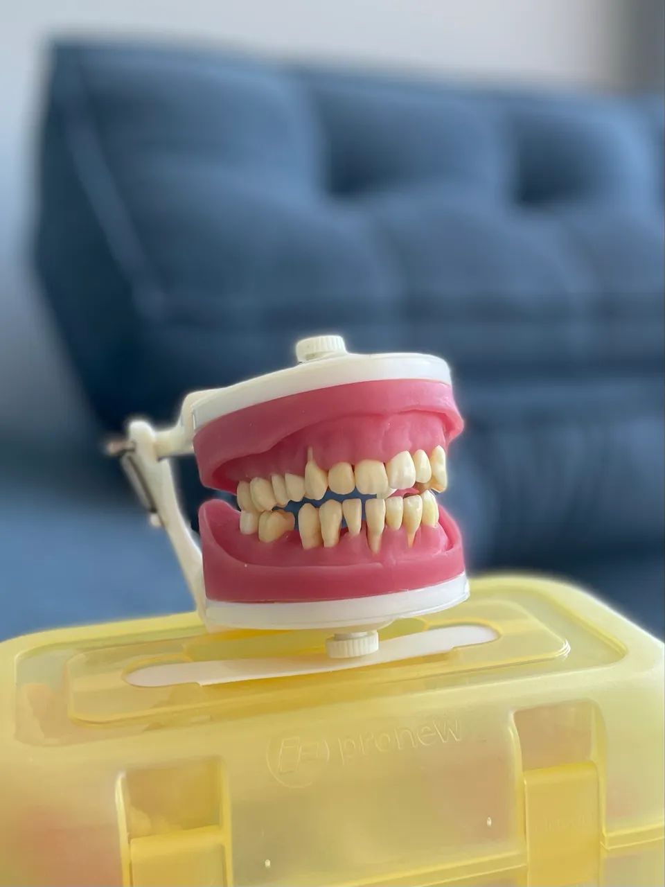 Manequim Pronew Periodontia Odontologia 