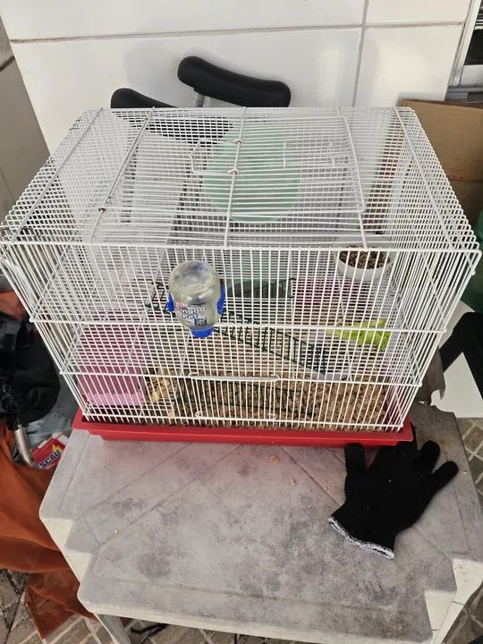 Gaiola para hamster
