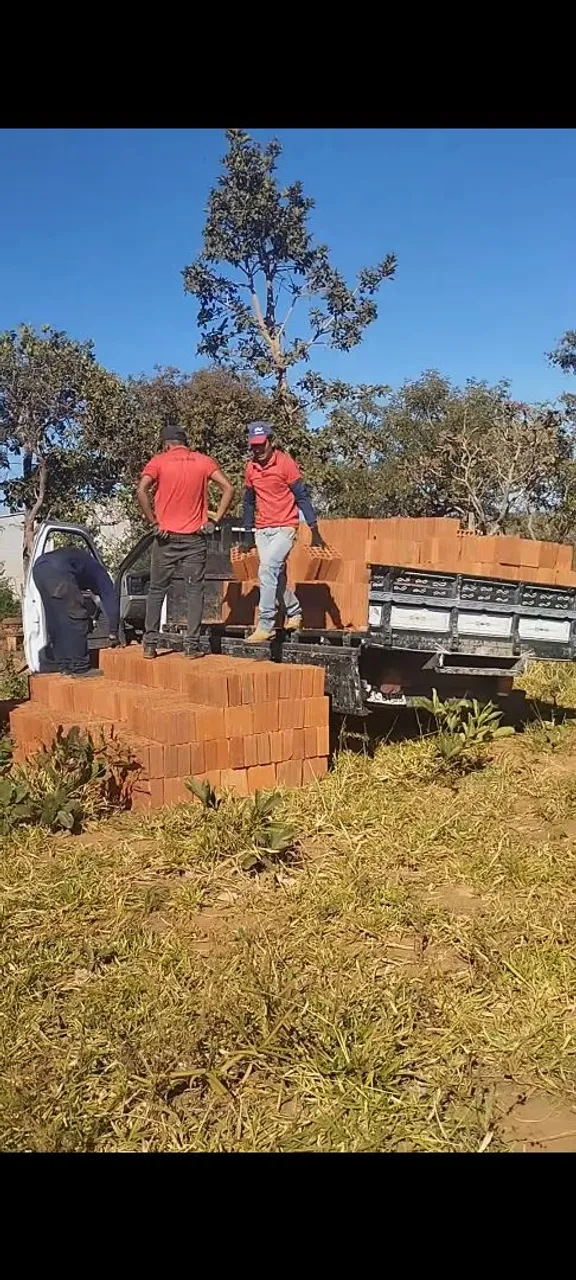 Venda de Tijolos para Construção Civil