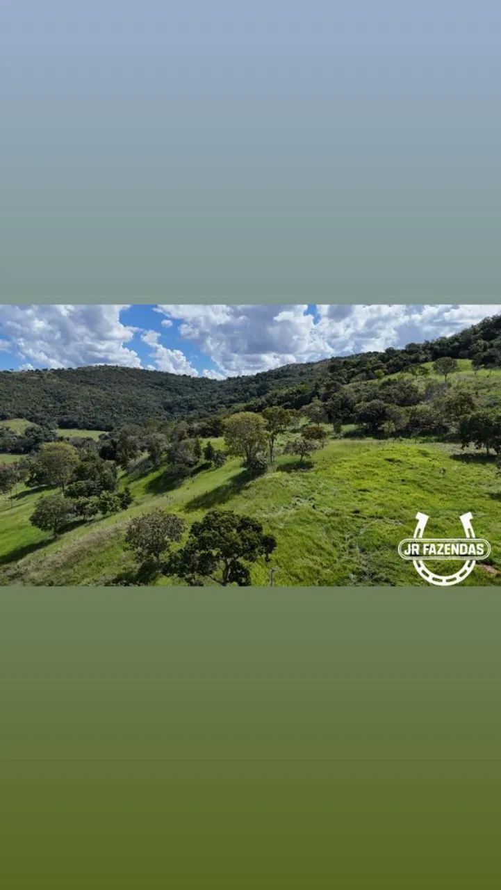 Ótima Fazenda disponível (pecuária) - Foto 4