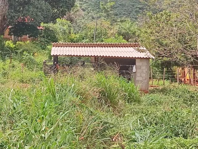Área de 12, 6 hectares a venda em Senhor do Bomfim -Ba. - Foto 3
