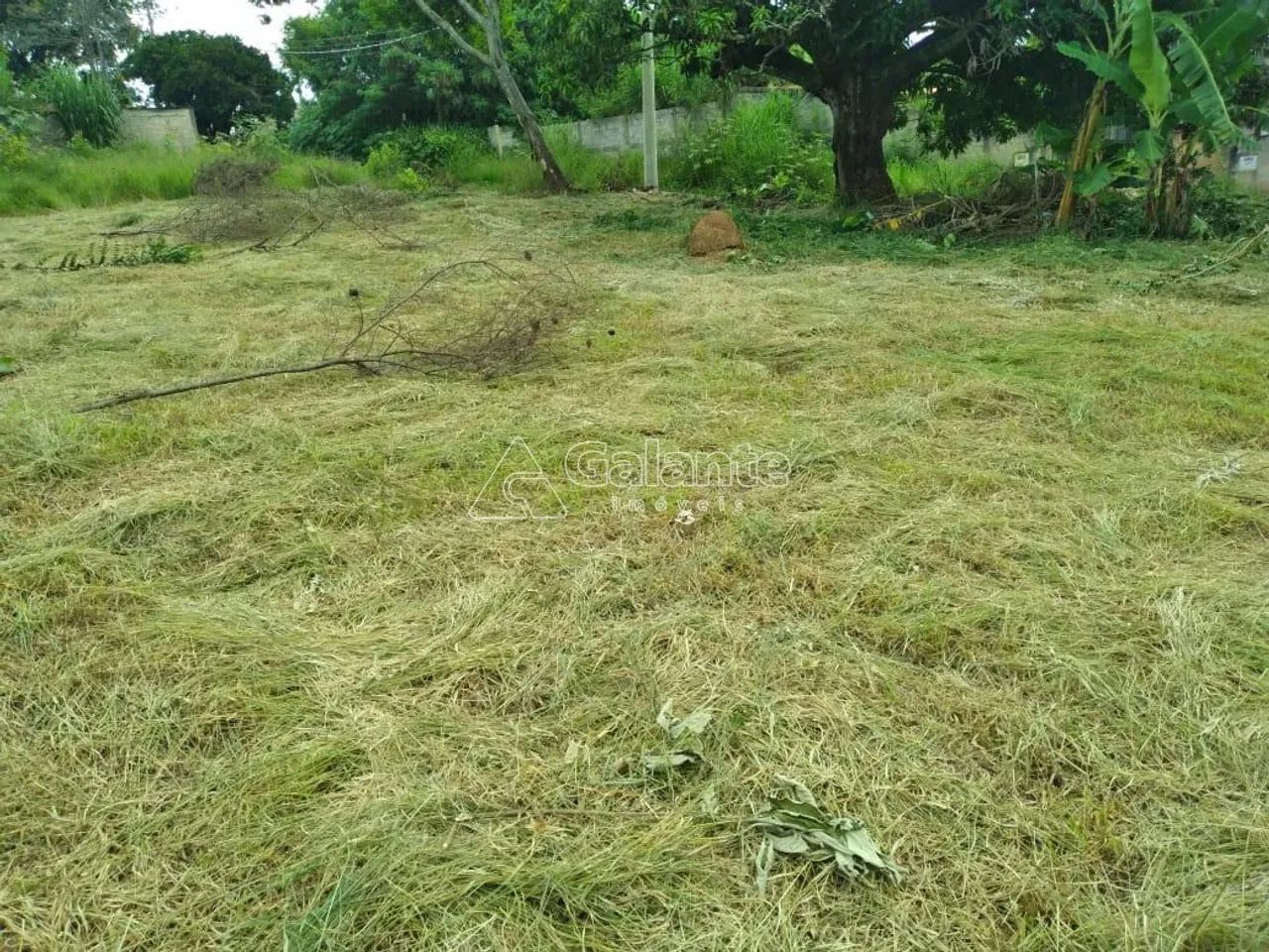 terreno - Parque dos Pomares - Campinas - Foto 2