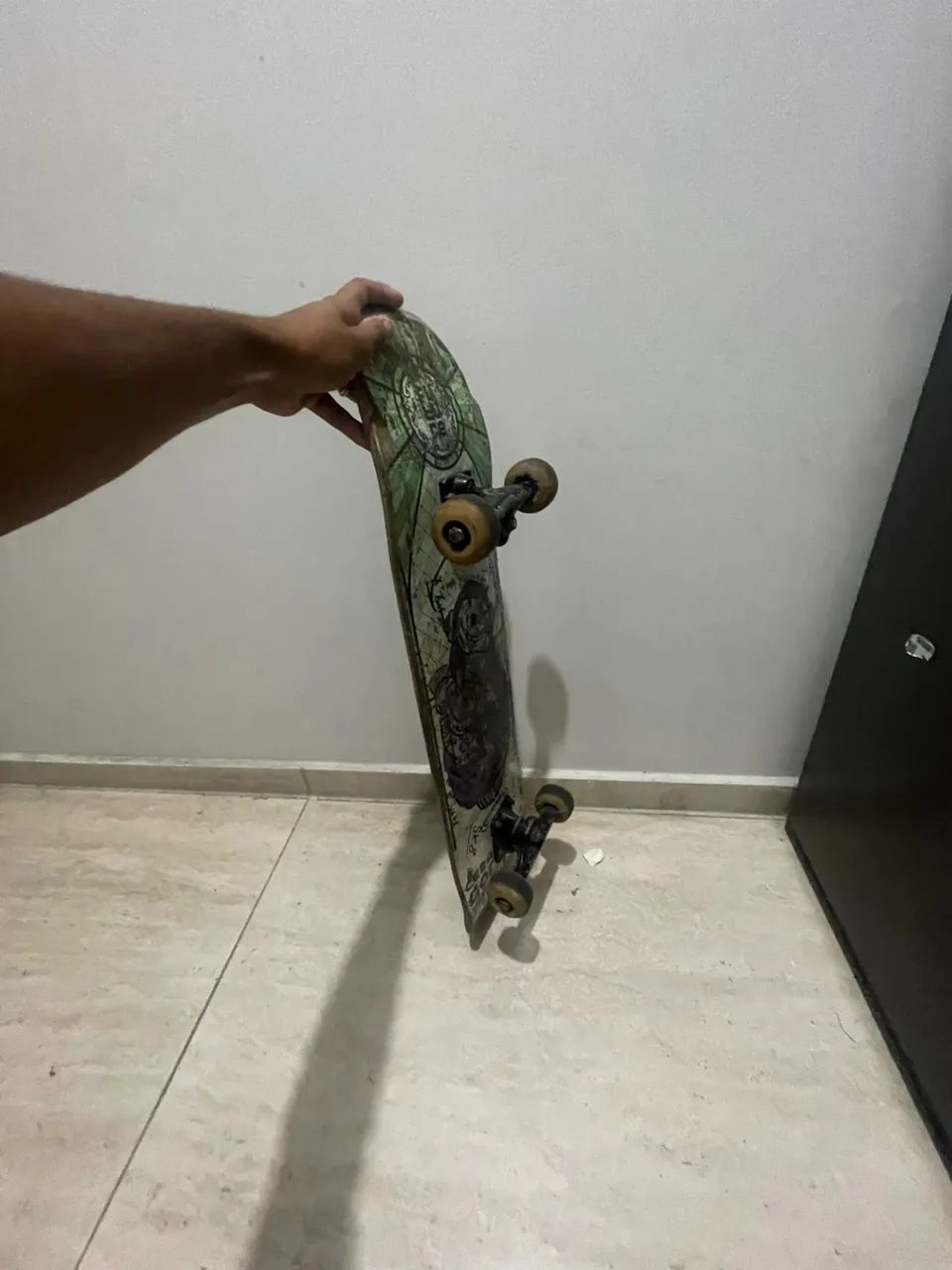 Skate de marfim64314493827330123
