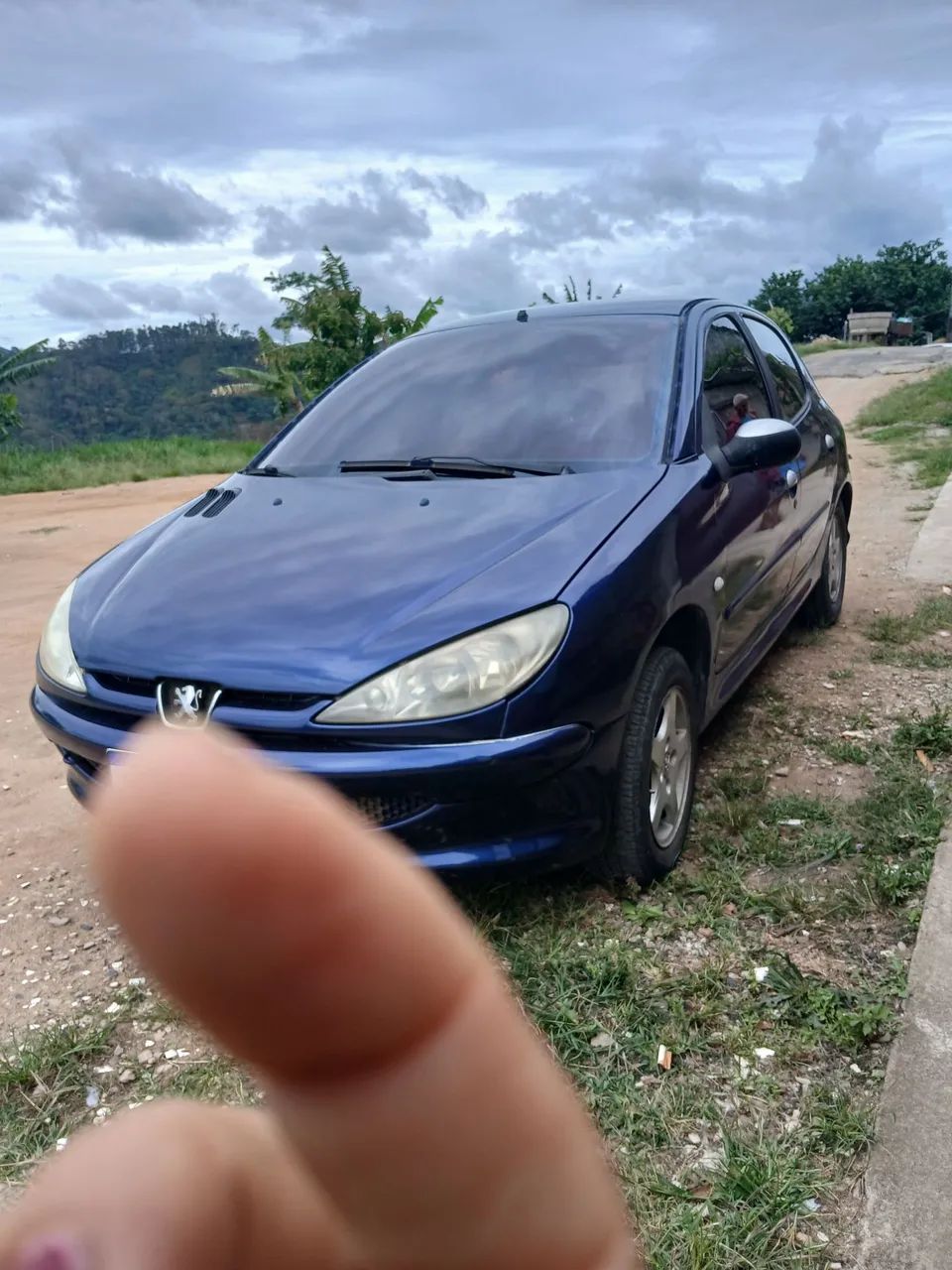Peugeot 206 2004