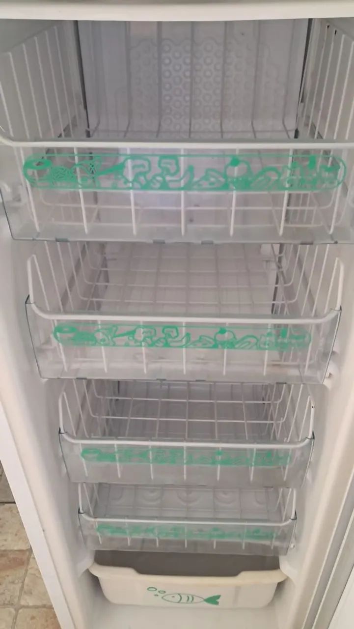 PROMOÇÃO FREEZER - Foto 3