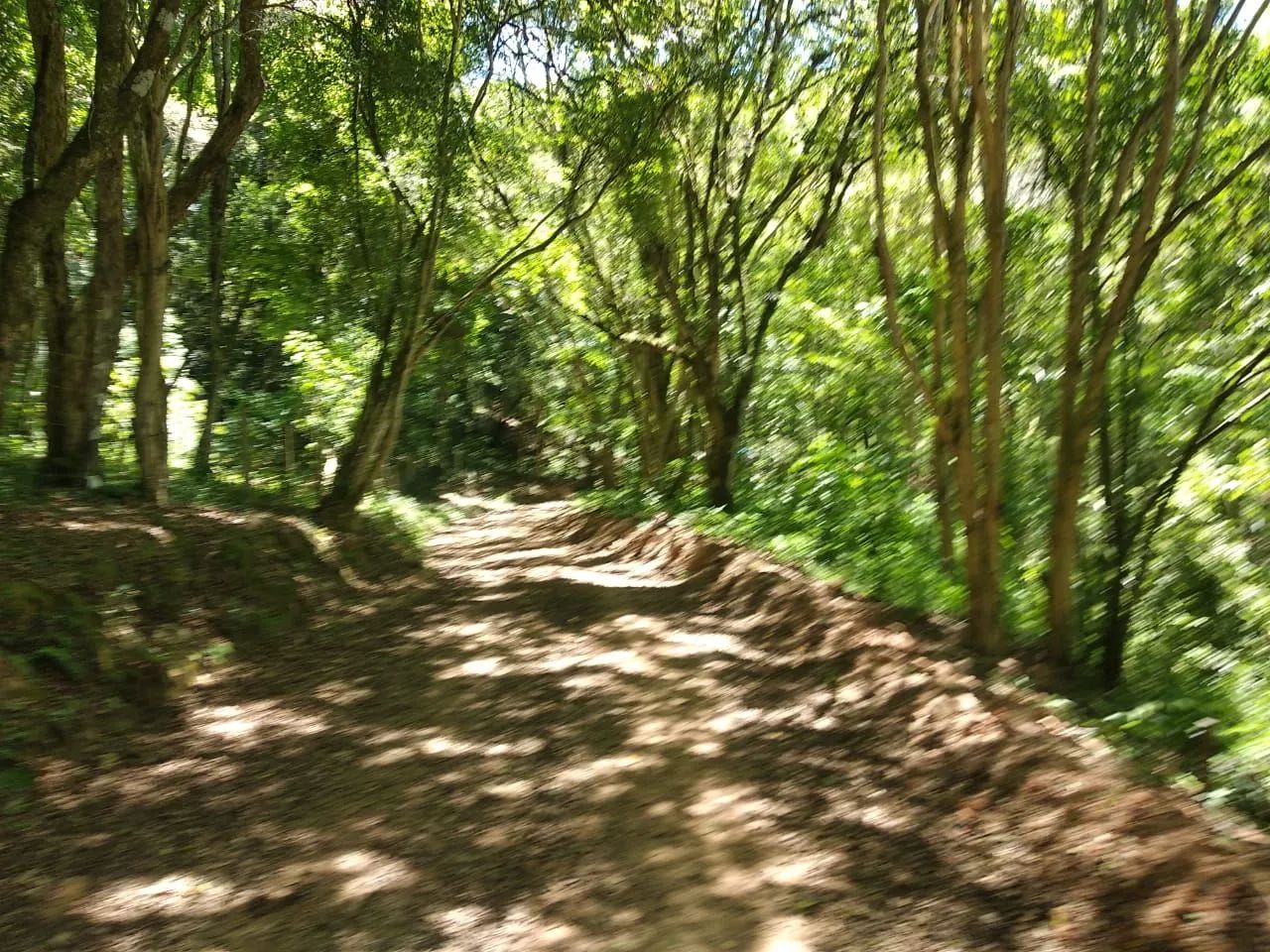 Vendo excelentes terrenos a partir de 200 m2